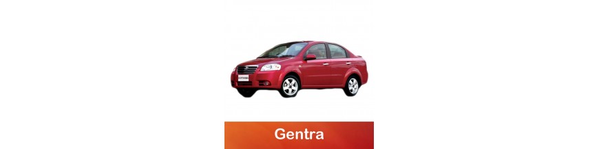 Gentra2005-2011