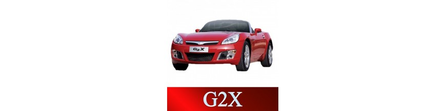 G2X-2006-2009