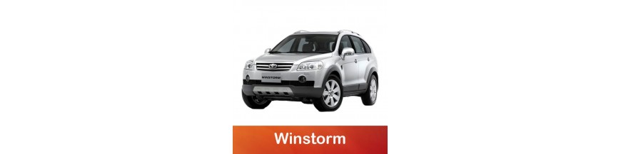 Winstorm 2006-2011